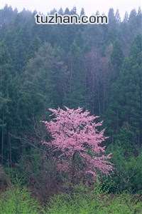 卡塔尔球队实现逆袭，夺得重要胜利晋级