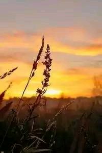 卡塔尔球队实现逆袭，夺得重要胜利晋级