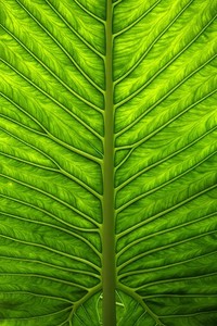 卡塔尔球队实现逆袭，夺得重要胜利晋级