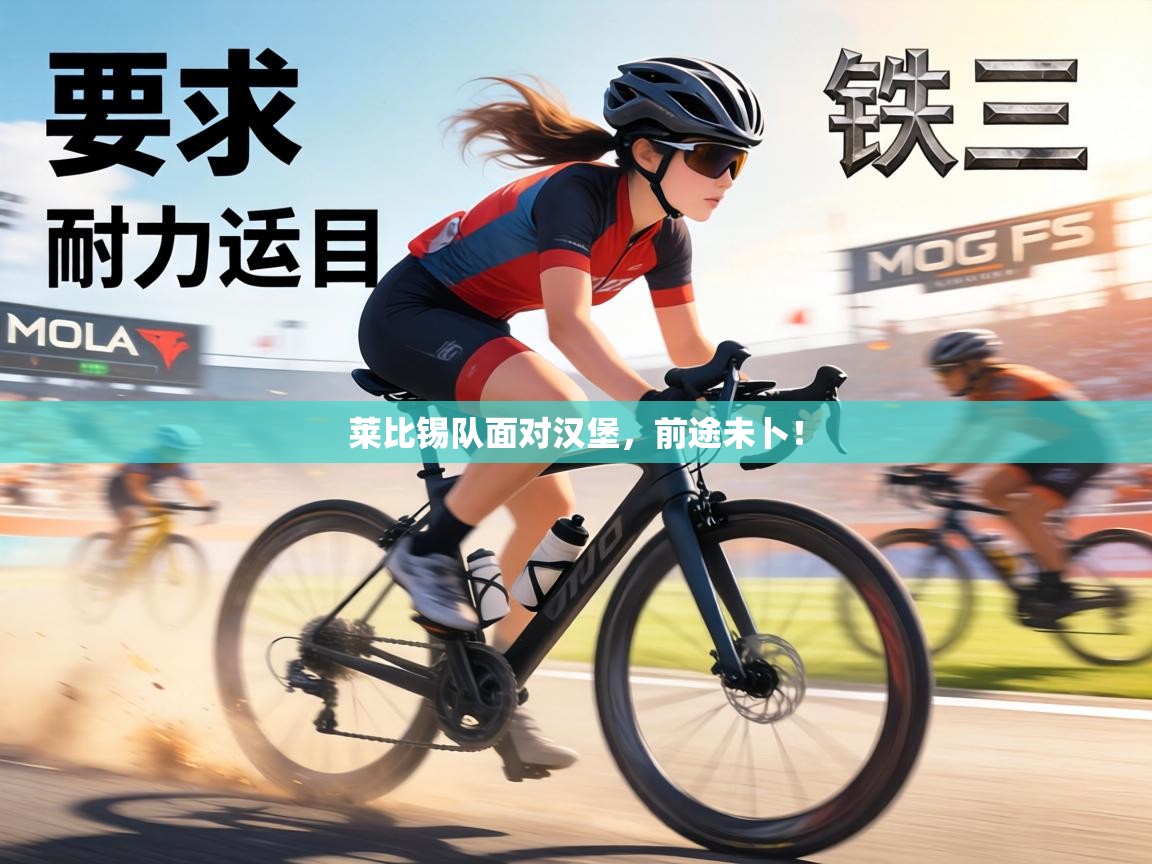 莱比锡队面对汉堡，前途未卜！  第2张